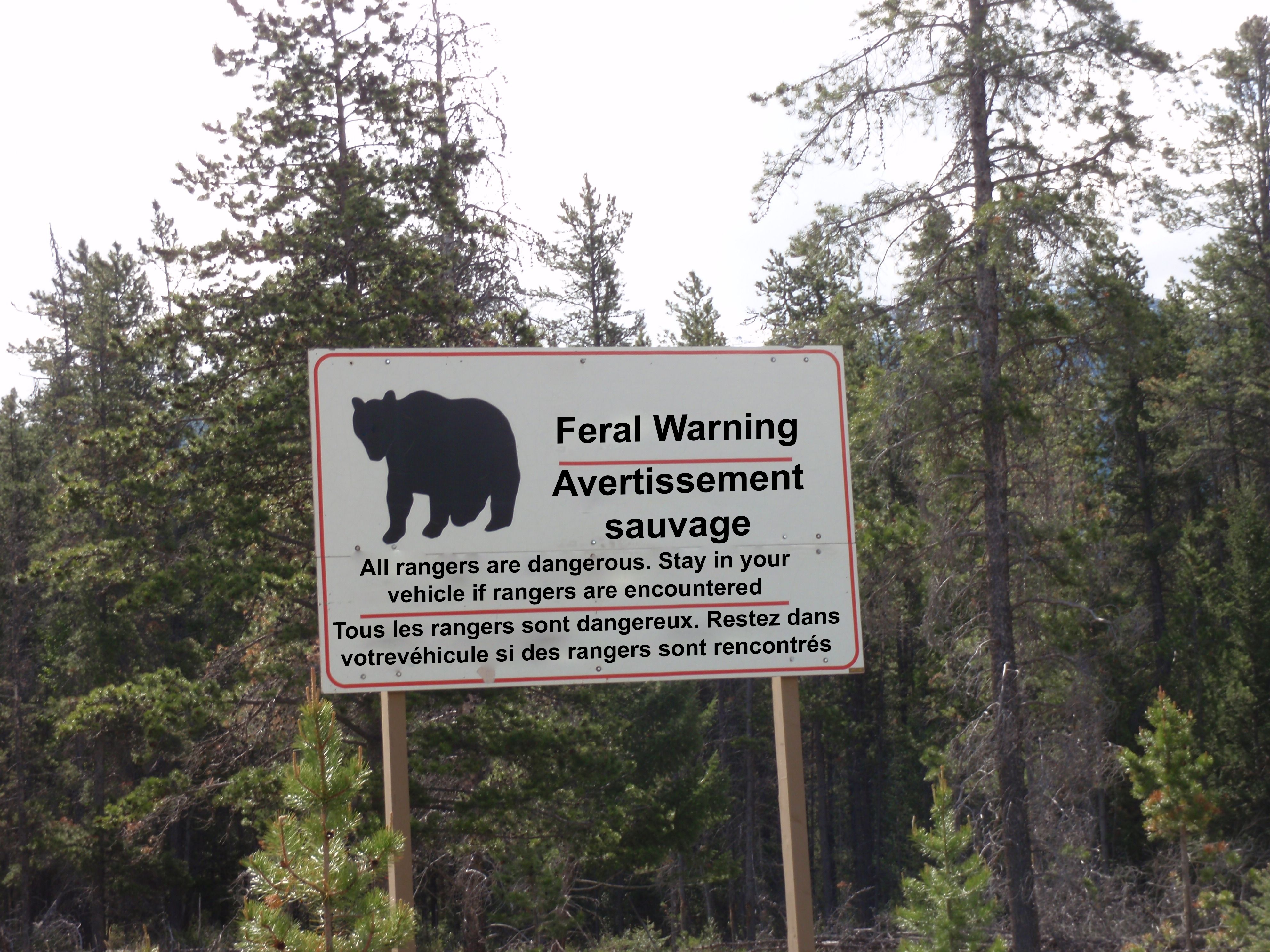 A nature warning sign with the depiction of a bear "Feral Warning" "All rangers are dangerous. Stay in your vehicle if rangers are encountered." The message repeats in French